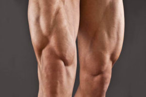 muscoli delle gambe
